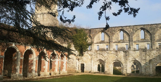 Asgard Costumes à l'Abbaye de Mortemer les 15 et 16 août