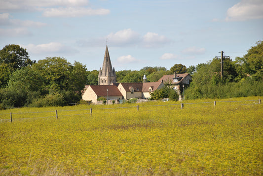 Exposition à Avernes les 5 et 6 octobre